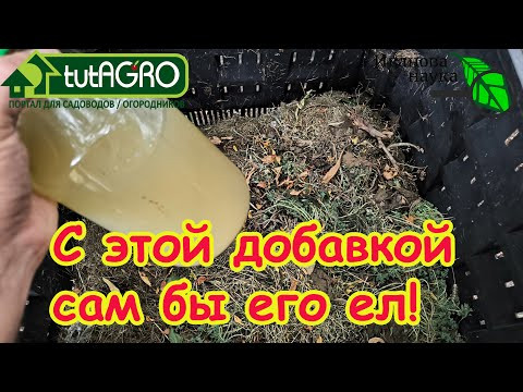 У МЕНЯ ТАКОЙ КОМПОСТ, ЧТО ХОТЬ САМ ЕШЬ! Обожаю этот рецепт компоста. Одна польза и никаких побочек. У МЕНЯ ТАКОЙ КОМПОСТ, ЧТО ХОТЬ САМ ЕШЬ! Обожаю этот рецепт компоста. Одна польза и никаких побочек.
