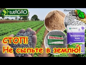 ВАМ 100 ЛЕТ НЕ НУЖНЫ ЭТИ УДОБРЕНИЯ! Не тратьте деньги и не сыпьте эти удобрения, сперва разберитесь.
