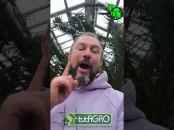 Срочно сеем в МАРТЕ БЕЗ ПОДСВЕТКИ! Список культур, которые нельзя пропустить. 2026 год - посев семян