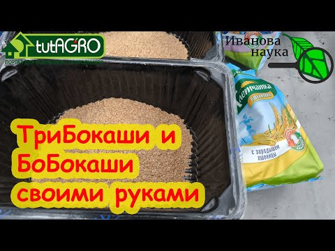 Урожай прёт как на дрожжах! БОКАШИ НА ОТРУБЯХ. Два рецепта грибного бокаши своими руками.
