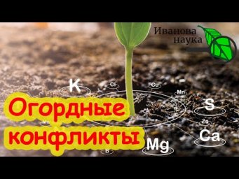 Как правильно СМЕШИВАТЬ УДОБРЕНИЯ? Не допустим огородных конфликтов.