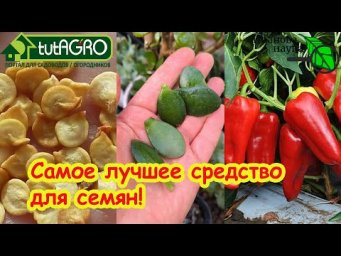Торпеда для СЕМЯН СВОИМИ РУКАМИ: взрыв прорастания! Как разбудить любые семена? Активатор всхожести!