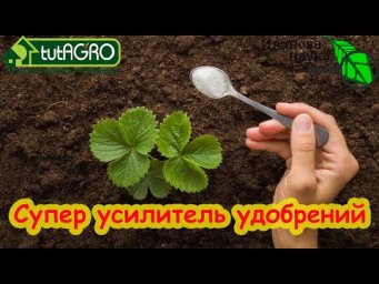 ЭТО ДАРМОВОЕ СРЕДСТВО УСИЛИВАЕТ УДОБРЕНИЯ В 10 РАЗ! Просто смешайте и всё.