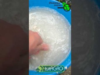 ПЕРВАЯ и ГЛАВНАЯ! ТОМАТ и ОГУРЕЦ ЛЮБЯТ ЭТУ ПОДКОРМКУ СИЛЬНЕЕ ВСЕГО 1 чайная ложка!