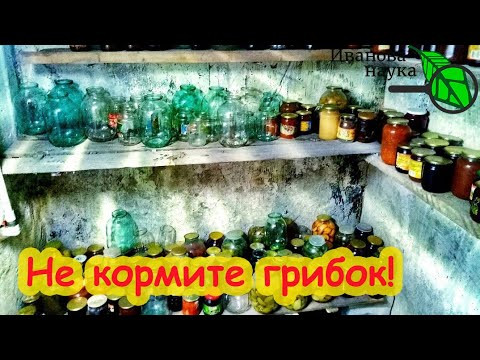 КАК ИЗБАВИТЬСЯ ОТ ПЛЕСЕНИ НАВСЕГДА. Настоящая причина грибка. Натуральное средство от грибка.