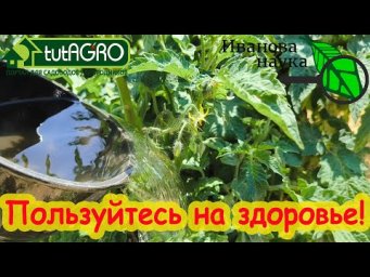 ЭТИ ПОДКОРМКИ ВООБЩЕ НИЧЕГО НЕ СТОЯТ! Чем подкормить весь огород бесплатно.