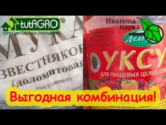УДОБРЕНИЕ СВОИМИ РУКАМИ ОТ ЖАРЫ. Доломитовая мука + уксус. Жидкая кальциево-магниевая подкормка.