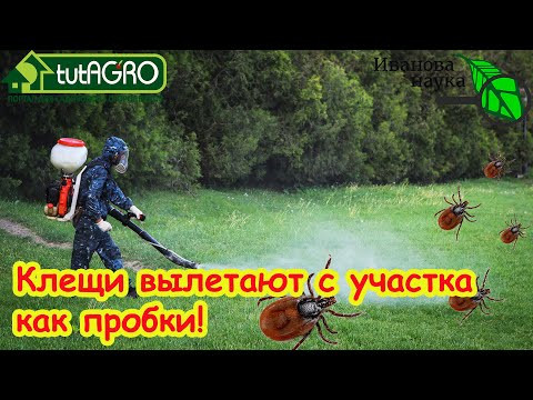 ЭТО САМОЕ сильное СРЕДСТВО ОТ ВСЕХ КЛЕЩЕЙ без химии! ЛУЧШАЯ надёжная защита от энцефалитных клещей! ЭТО САМОЕ сильное СРЕДСТВО ОТ ВСЕХ КЛЕЩЕЙ без химии! ЛУЧШАЯ надёжная защита от энцефалитных клещей!