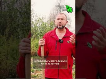 БЕДНЫЙ ГРУНТ превратится в ЧЕРНОЗЁМ! Секрет агрономов