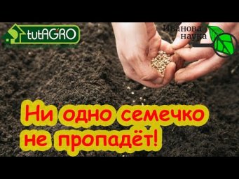 САМЫЕ ТОЧНЫЕ СРОКИ ПОСЕВА СЕМЯН В 2024 ГОДУ. Определение готовности земли к севу природным методом.
