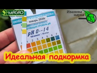 Как приготовить идеальную подкормку? Урожай от этих подкормок растет как на дрожжах!