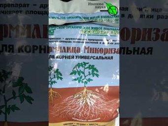 БУДЬТЕ ОСТОРОЖНЫ! ОБМАН В СЕТИ! Микориза для томата, огурца, лука. Кому очень нужна микориза.