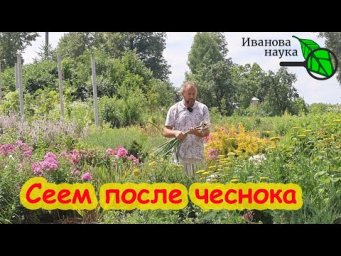 ЧЕСНОК УБРАЛИ, ЧТО ДАЛЬШЕ. Чем занять пустые грядки в июле. Что посеять в июле в огороде.
