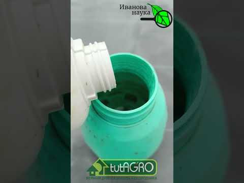Я знаю как вырастить богатый урожай чего угодно даже в холод и дождь! Урожай вопреки погоде! Я знаю как вырастить богатый урожай чего угодно даже в холод и дождь! Урожай вопреки погоде!