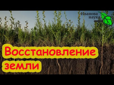 РЕГЕНЕРАТИВНОЕ ПРИРОДНОЕ ЗЕМЛЕДЕЛИЕ: сектантство или необходимость? Как не испортить почву в огороде РЕГЕНЕРАТИВНОЕ ПРИРОДНОЕ ЗЕМЛЕДЕЛИЕ: сектантство или необходимость? Как не испортить почву в огороде