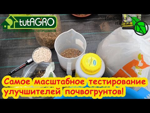 ДОРОГИЕ и БЕСПЛАТНЫЕ! Тестируем улучшители почвы: опилки, цеолит/цион, цимус, песок... Что лучше. ДОРОГИЕ и БЕСПЛАТНЫЕ! Тестируем улучшители почвы: опилки, цеолит/цион, цимус, песок... Что лучше.