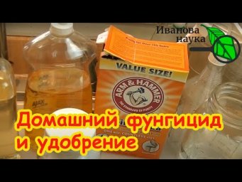 ДОМАШНИЕ АНАЛОГИ ФУНГИЦИДОВ и УДОБРЕНИЙ: что получилось и как приготовить средство для растений.