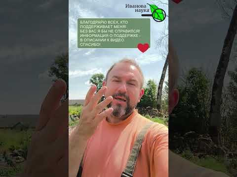 Срочно пересадите! Сколько ЖИВЕТ клубника на одном месте? Обновление клубники Срочно пересадите! Сколько ЖИВЕТ клубника на одном месте? Обновление клубники