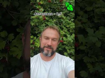НЕ ВЕРЬТЕ СЕМЕНАМ АЛТАЯ! Они обманывают, обдуривают и врут!