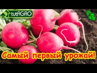 УРОЖАЙ УЖЕ В МАРТЕ! Что первым посеять для самого раннего урожая.