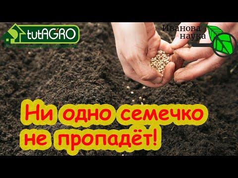 САМЫЕ ТОЧНЫЕ СРОКИ ПОСЕВА СЕМЯН В 2024 ГОДУ. Определение готовности земли к севу природным методом. САМЫЕ ТОЧНЫЕ СРОКИ ПОСЕВА СЕМЯН В 2024 ГОДУ. Определение готовности земли к севу природным методом.