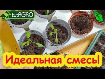 Забудьте о ПОДКОРМКАХ! Идеальная смесь для пикировки своими руками. Грунт для пикировки: мой рецепт.