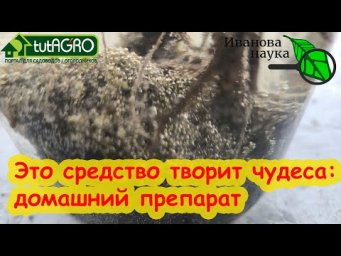 ДОМАШНИЕ БИОПРЕПАРАТЫ: без ЗАКВАСОК, без УДОБРЕНИЙ и без СТЕРИЛИЗАЦИИ. Делаем домашние биоудобрения.
