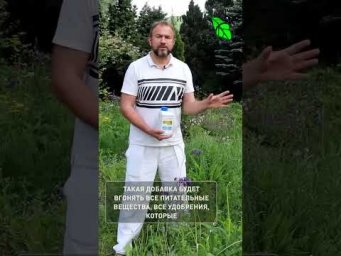 Забудьте про ДРОЖЖИ! Эта ЛОЖКА копеечного средства взорвет рост томатов и огурцов!
