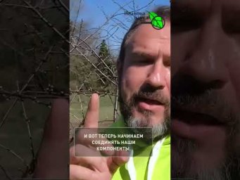 СРОЧНО СДЕЛАЙТЕ ЭТО! Заморозки погубят всё. Как спасти рассаду и сад от холода? Кухонный рецепт.