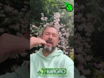 &zwj; Тайный агент в комментах: кто это на самом деле?  Нашествие БОТА!