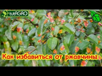МЫ НАШЛИ ЛУЧШЕЕ СРЕДСТВО ПРОТИВ РЖАВЧИНЫ! Избавьтесь от ржавчины раз и навсегда!