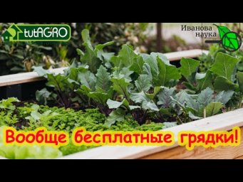 ВООБЩЕ БЕСПЛАТНЫЙ ОГОРОД и САД! И это не фантастика. Один совет, один шаг к бесплатному огороду.