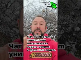 ЛЮБОЕ ДЕРЕВО ПОКРОЕТСЯ ПЛОДАМИ, ЕСЛИ УДАЛИТЬ ЭТИ ВЕТКИ! Вырезаем этих паразитов с корнем!
