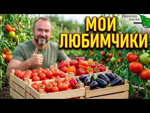 ЭТИ СОРТА ЗАВАЛИВАЮТ УРОЖАЕМ БЕЗ ТЕПЛИЦЫ! Томат перец и баклажан для открытого грунта, без ухода ЭТИ СОРТА ЗАВАЛИВАЮТ УРОЖАЕМ БЕЗ ТЕПЛИЦЫ! Томат перец и баклажан для открытого грунта, без ухода