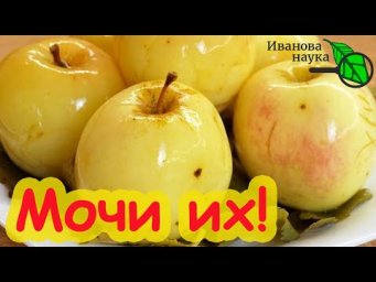 ОЧЕНЬ ПОЛЕЗНЫЕ ЗАГОТОВКИ: соление, квашение, мочение или маринование. Чем различаются и что лучше.