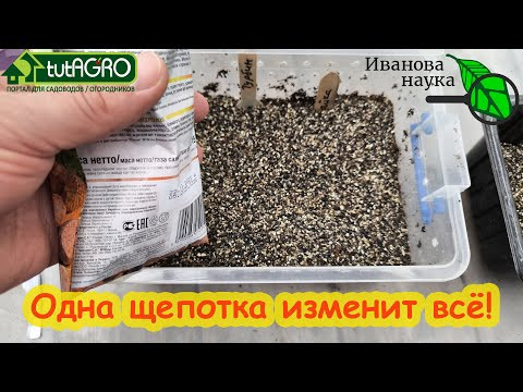 ОДНА ЩЕПОТКА ЭТОГО СРЕДСТВА РЕШИТ КУЧУ ПРОБЛЕМ С РАССАДОЙ! Просто посыпьте им землю и всё. ОДНА ЩЕПОТКА ЭТОГО СРЕДСТВА РЕШИТ КУЧУ ПРОБЛЕМ С РАССАДОЙ! Просто посыпьте им землю и всё.