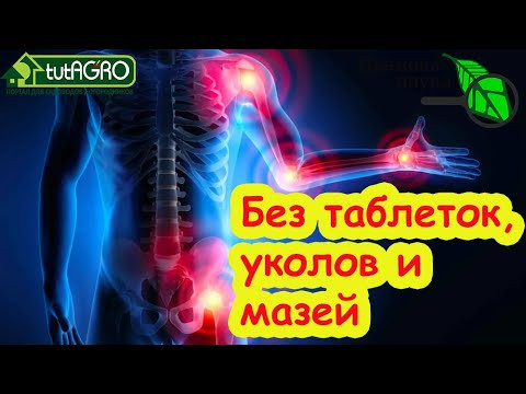 ЭТОТ НЕНАВИСТНЫЙ СОРНЯК ВЫЛЕЧИТ ВЕСЬ ОРГАНИЗМ: лечение суставов и почек без таблеток, мазей и уколов ЭТОТ НЕНАВИСТНЫЙ СОРНЯК ВЫЛЕЧИТ ВЕСЬ ОРГАНИЗМ: лечение суставов и почек без таблеток, мазей и уколов