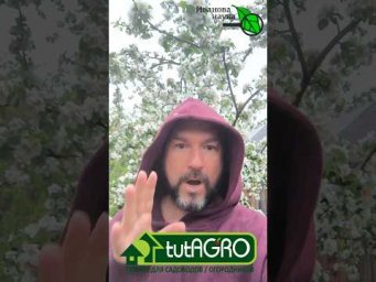 Этот вредитель спас урожай яблок! Удивительный факт. Вредитель-помощник.