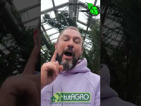 Срочно сеем в МАРТЕ БЕЗ ПОДСВЕТКИ! Список культур, которые нельзя пропустить. 2026 год - посев семян Срочно сеем в МАРТЕ БЕЗ ПОДСВЕТКИ! Список культур, которые нельзя пропустить. 2026 год - посев семян