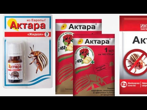 Как сэкономить Актару? С чем можно и с чем нельзя смешивать Актару.