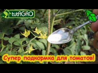 ХЕЛАТ БОРА СВОИМИ РУКАМИ: используйте бор правильно. Как не отравить и не отравиться бором?
