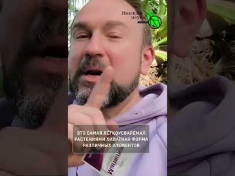 Аптекари молчат! Копеечная просрочка оживит даже сухую палку. Добавил каплю &mdash; рассаду не узнать!