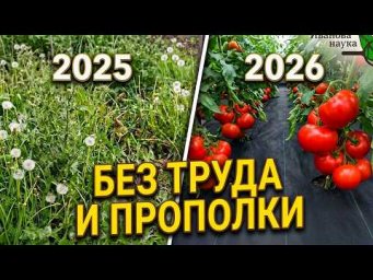ПРОПОЛКА И ПЕРЕКОПКА РАЗ В 7 ЛЕТ? ФЕЙК? НЕТ! Действенный способ облагораживания любого участка