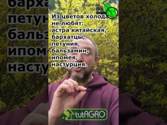 СТОП! Не сейте ЭТО рано: погубите семена и урожай. Что посеять первым? Список для холодной почвы.
