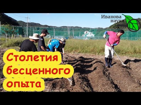 Корейское натуральное земледелие: столетия бесценного опыта, который надо сохранить и применить. Корейское натуральное земледелие: столетия бесценного опыта, который надо сохранить и применить.