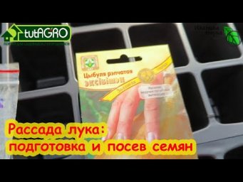 ПОСЕВ ЛУКА НА РАССАДУ. Буйный Эксибишн на рассаду. Как сеять лук. Подготовка семян. Срок и грунт.