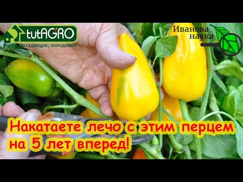 ЭТОТ ПЕРЕЦ СЕЙТЕ В МАРТЕ БЕЗ ПОДСВЕТКИ. Урожай перца без проблем и затрат. ЭТОТ ПЕРЕЦ СЕЙТЕ В МАРТЕ БЕЗ ПОДСВЕТКИ. Урожай перца без проблем и затрат.
