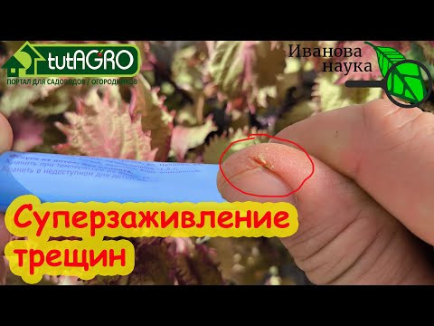 ДЕШЕВАЯ СОВЕТСКАЯ МАЗЬ С МОМЕНТАЛЬНЫМ ДЕЙСТВИЕМ: быстрое заживление трещин на коже. ДЕШЕВАЯ СОВЕТСКАЯ МАЗЬ С МОМЕНТАЛЬНЫМ ДЕЙСТВИЕМ: быстрое заживление трещин на коже.
