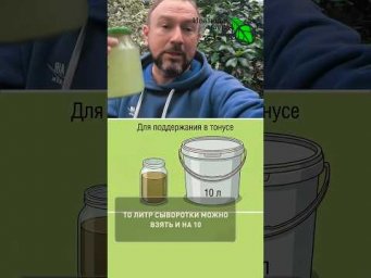 3 в 1: всего пол стакана сделают чудо и с рассадой, и с урожаем!