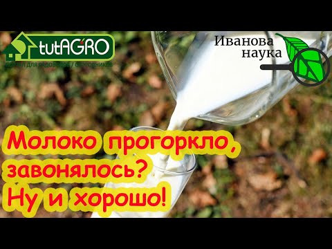 МОЛОКО НЕ КИСНЕТ, стало горькое, вонючее? Это просто спасение! Горклое молоко - какая от него польза